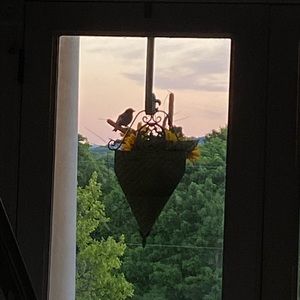 Meet your Posher, Molly